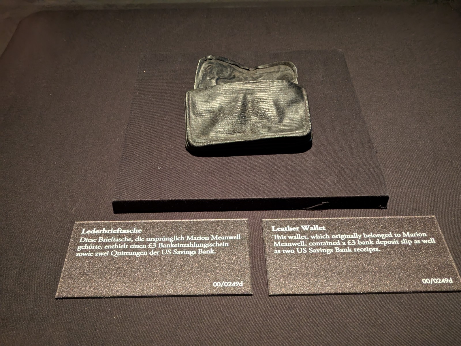 PXL 20241217 122240135.NIGHT